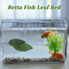 CAPASTEC Betta Fish Bed, Betta Leaf Bed, Plastic Betta Hammock,