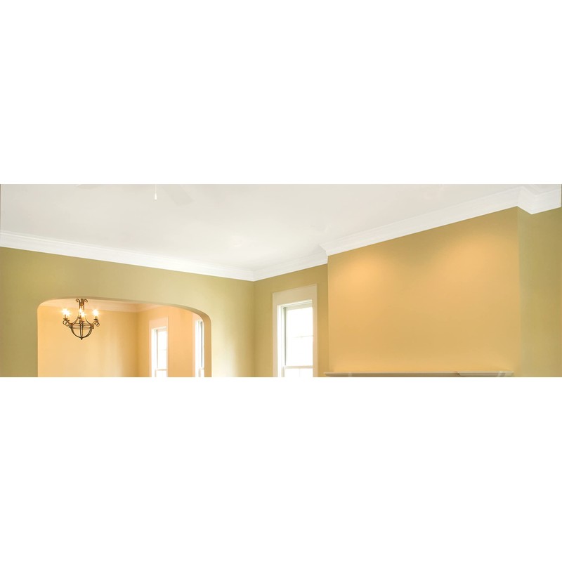 Zinsser 260967-2PK Ceiling Paint and Primer in One, Gallon, White,