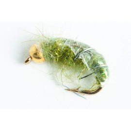 BH Czech Mate Nymph Fly, 6-Pack (Olive, #12)