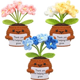 3 Pcs Teacher Appreciation Crochet Doll with Card Thank You for Helping Me Grow Teacher Thank You Presents for Birthday Home Office Decor(Forget Me Not)
