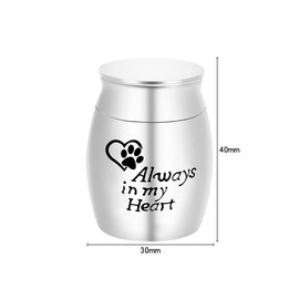 Jagowa 1 Piece Stainless Steel Mini Dog Urns Small Keepsake Urns For Pets Cremation Container Memorial Jar For Pet Ashes (Silver)