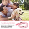 Crystal Dog Collar Rhinestone Pet Collar Bling Puppy Collar Studded