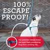 Harness Lead No Pull Dog Harness and Leash Set, Anti