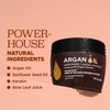 Luseta Argan Oil Hair Mask for Damaged Hair Deep Conditioning