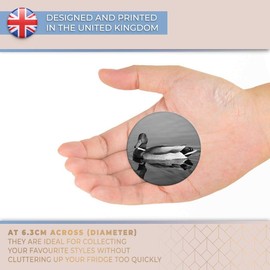 Destination Vinyl ltd Magnet for Refrigerator, Fridge BW - Cute Swimming Mallard Duck for Office, Cabinet and Whiteboard, Magnetic Stickers, 36152