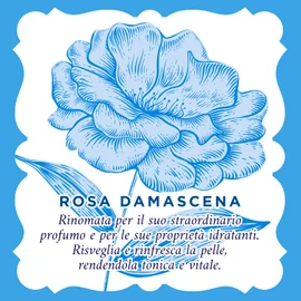 Acqua alle Rose, Erfrischende Make-up-Entferner-Tücher für alle Hauttypen, mit destilliertem Damaszener-Rosenwasser, Make-up-Entferner auf Gesicht, Augen und Lippen – 6 Packungen mit je 20 Tüchern
