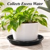 3 Pack Plastic Plant Saucers for Flower Pots – Durable
