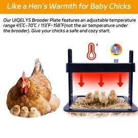UIQELYS Chick Brooder Heat Plate, Adjustable Height, Safe & Energy-Efficient Brooder Plate Heating for Baby Chicks, Ducklings & Poultry Hatchlings, Chick Brooder Heater Plate–Ideal for Backyard Farms