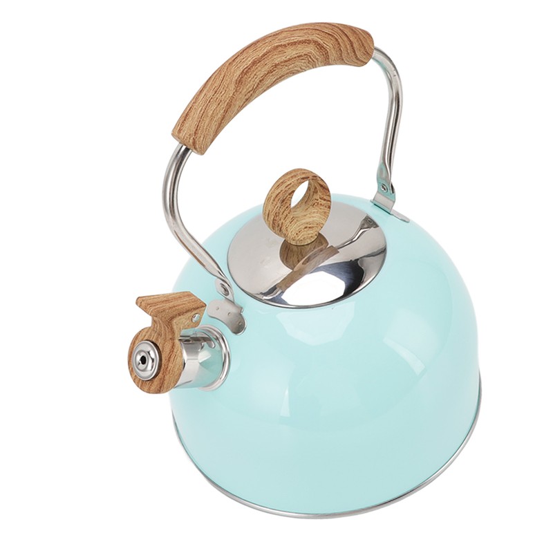2.5L Whistling Tea Kettle with Handle Stainless Steel Portable Stovetop