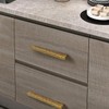 SAILANKA 2 Pack Brass Home Kitchen Vintage Cabinets Drawers Collection