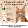 Coconut Cat Conditioner by Buddycare (16.90oz)