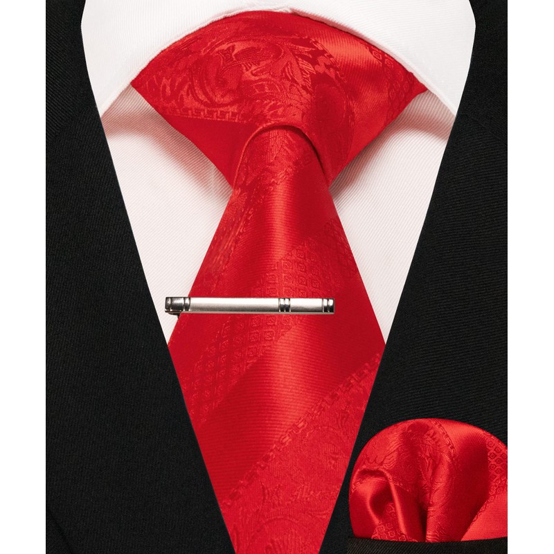 JEMYGINS Mens Mixed Roses Striped Tie Set Including Tie Clip