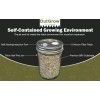 Out-Grow BRF Jars Brown Rice Flour Mushroom Substrate (6 Pack)