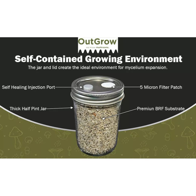 Out-Grow BRF Jars Brown Rice Flour Mushroom Substrate (6 Pack)