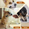 Mayerzon Dog Muzzle, Basket Muzzle for Small Medium Dogs Poodle