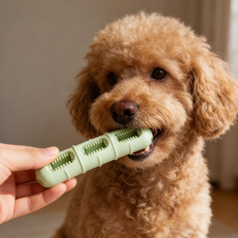 NCXFTP Bite and Brush Dental Toy for Dogs, Interactive Chew