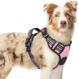 rabbitgoo Dog Harness Medium Sized, No Pull Pet Harness with 3 Buckles, Adjustable Soft Padded Pooch Vest with Instant Control Handle, Easy Walking Reflective Pet Vest for Medium Dogs, Pink, M