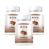 BIO B | Canela 3 Pack 60 cápsulas veganas cada