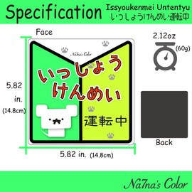 Na7na's Color Car Magnet Sticker for Driving Beginner Mark Water Resistant UV Protection 5.8 inches (14.8 cm) (Green)