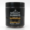 Shilajit Gummies – Sugar-Free, 1000mg, Natural Fruit Flavor
