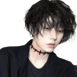 Hawkko Men's Short Wig, Full Wig, Curly Wig, Men's Wig, Black, Black Hair, Wig, Wavy, Curly Hair, Harajuku, Short Hair, Handsome, Men's Natural, Small Face, Heat Resistant, Popular, Fashion, Imechan,