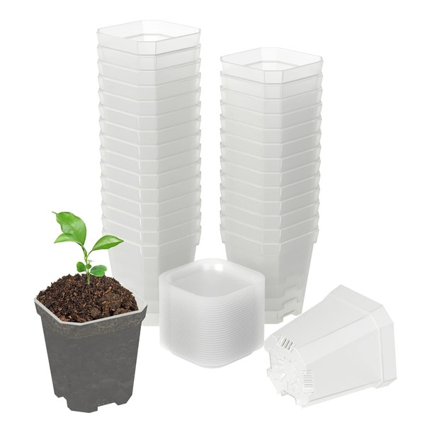 foxany 3" Clear Nursery Pots, 30 Pcs Thick Plastic Plant Pots, Square Flower Planting Pots, Seedling Planter Seed Starter Pots with Saucers