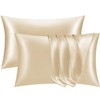 Pamposh Satin Silk Pillowcases For Hair And Skin 2 Pack
