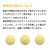 OrthoSupplement Multi-Vitamin BR 90 Tablets, Anti-doping, B-Vitamins, Nutritional Therapy, Health