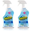 OdoBan Ready-to-Use Disinfectant and Odor Eliminator, Set of 2 Spray