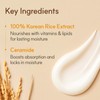 The Face Shop Rice Ceramide Cream, Hydrating Face Moisturizer, for