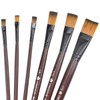 Bezavea 6 Piece Professional Nylon Paint Brush Set for Oil,
