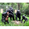 Gemini&Genius Gorilla Toys, Safari Animal Toys Gorilla Family Figurines, Wildlife