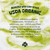 MATCHA DNA Certified Organic Matcha Green Tea Powder (8 oz