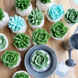 You Grow Girl Succulent Soap Gift Box Set. Best Friends Encouragement Gift Ideas for Her