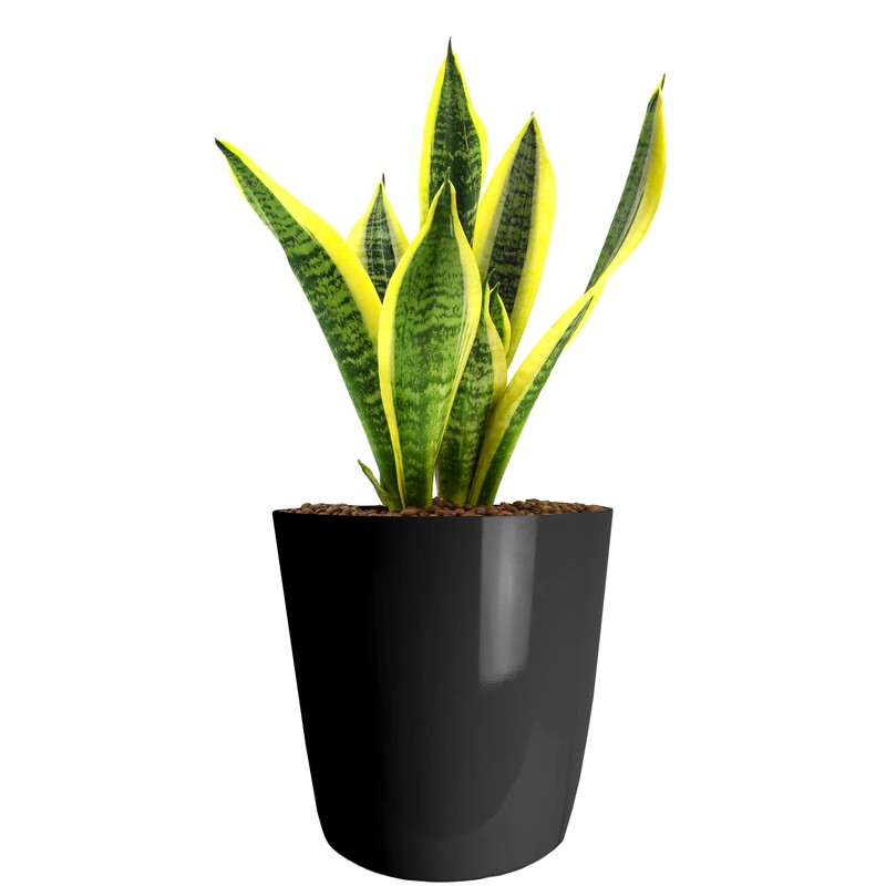 The HC Companies ARP10000P26 Round Planter, Black Onyx