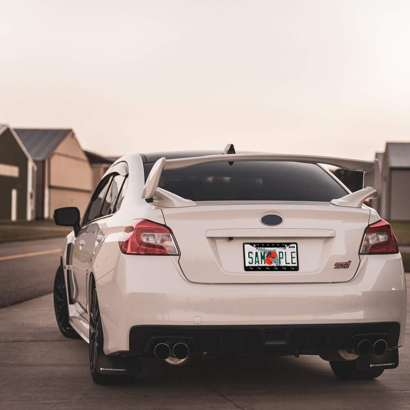 Fastasticdeals Metal Insert License Plate Frame Green Lizard with Long