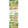 Ise Marunaka Tea Set of 5 Ise Tea Items in
