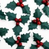 Italian Options Paper Holly with Berries Christmas Craft Decorations (12