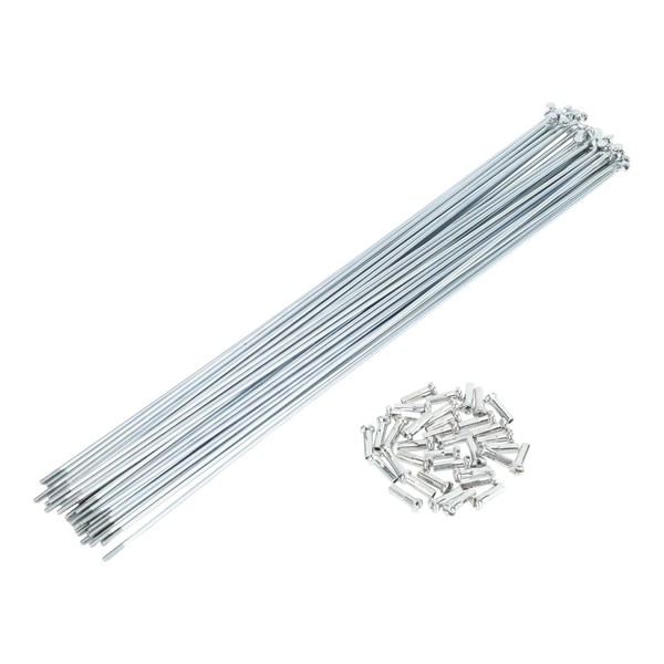 TUCKBOLD Bicycle Spokes Bicycle Wheel Spokes Silver Tone Nipple 1