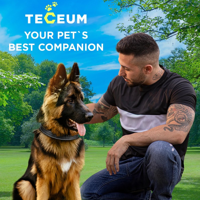 TECEUM Reflective Pet Collar – Black – S – Basic