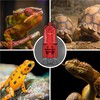 Briignite G9 Infrared Heat Lamp Bulbs for Reptile, Mini Reptile