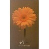 Flowers are blooming floral scented with Incense Sticks (Approx G)