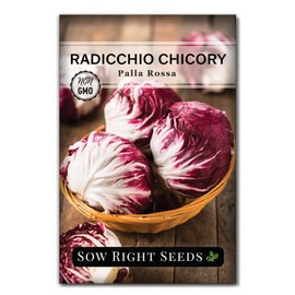 Sow Right Seeds - Palla Rosa Chicory Seeds for Planting - Non-GMO Heirloom Packet with Instructions to Plant an Outdoor Vegetable Garden - Italian Radicchio Seeds - Large Pink & Light Green Heads (1)