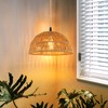Plug in Pendant Light, Farmhouse Hanging Chandelier Lights with 15ft