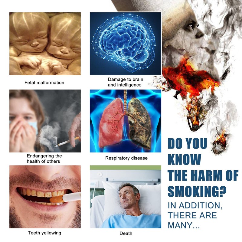 7pcs/Box Quit Smoke Plaster Stop Patches Natural al Anti- Patch