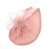 DRESHOW Fascinator Hats for Women Pillbox Hat with Veil Headband