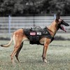 PETAC GEAR Tactical Dog Harness No Pull for Large Working