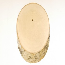 Birch Trophy Sign Deer Antlers Tree Disc Tree Sign AF 17 cm