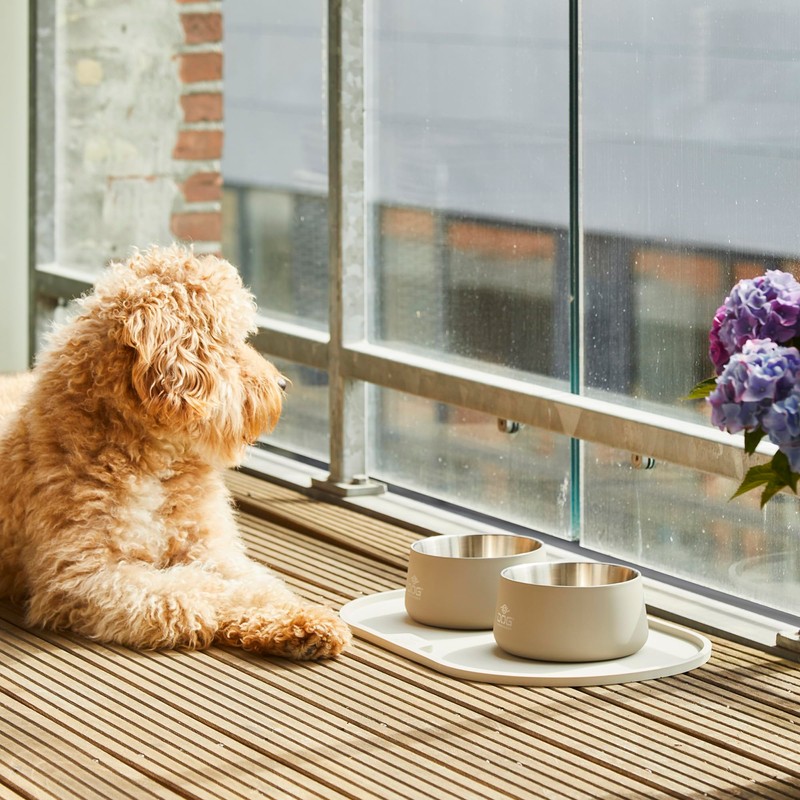 DOG Copenhagen Vega Bowl, S/M, Racing Green