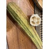 Luffa acutangula Sponge Angled Chinese Okra Ridged Gourd Sinkwa Silky